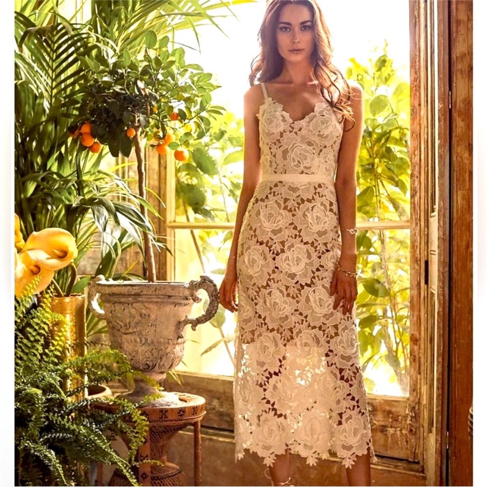 Elegant Cream Lace Midi Dress